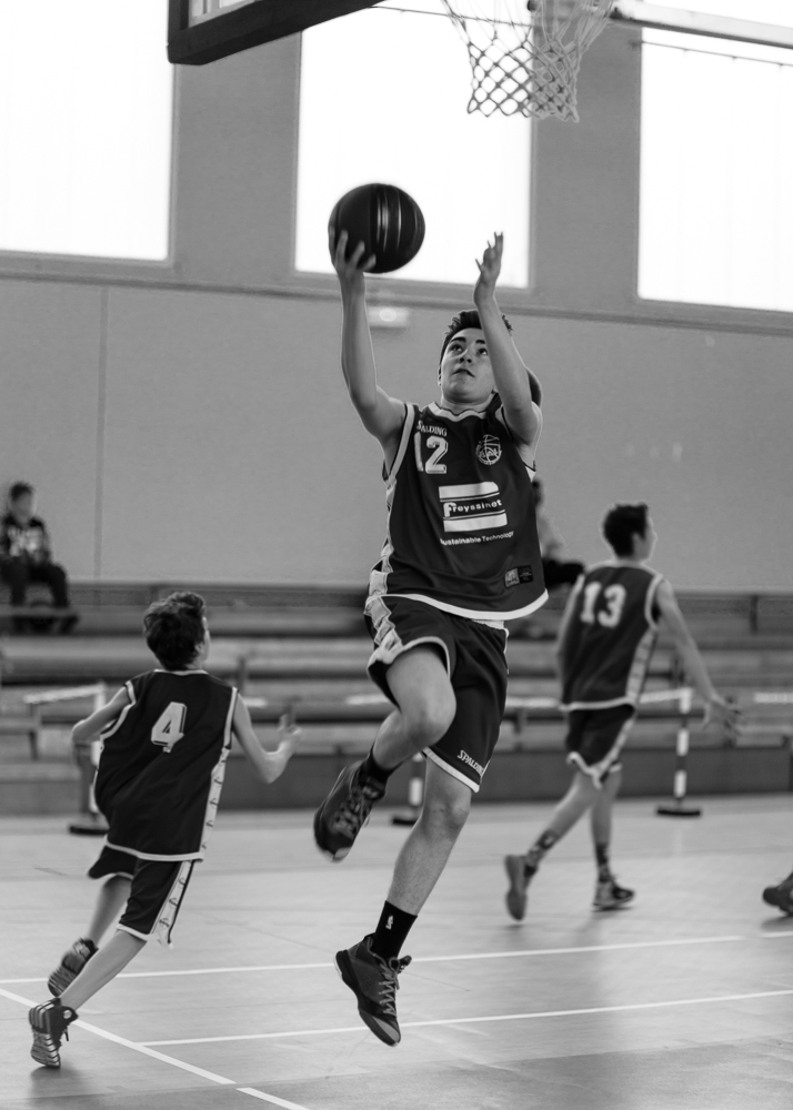 1503 Basket Noé (1)